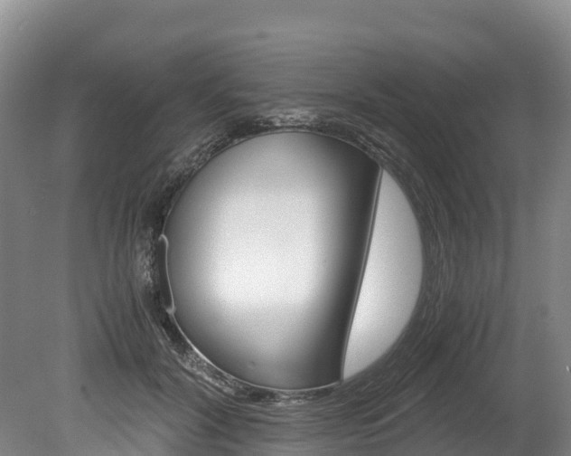 X0000078880604200611131056