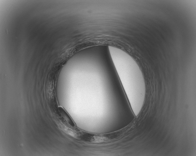 X0000078880605200611131056