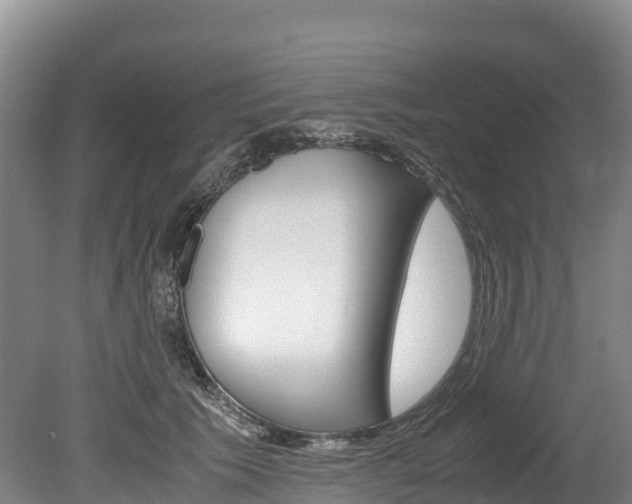 X0000078880609200611131056