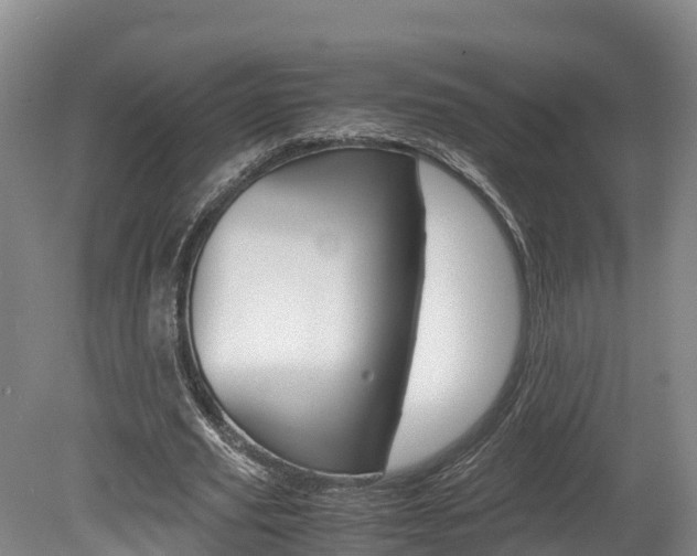 X0000078880629200611131055