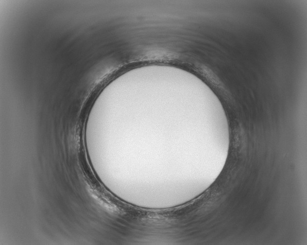 X0000078880632200611131055