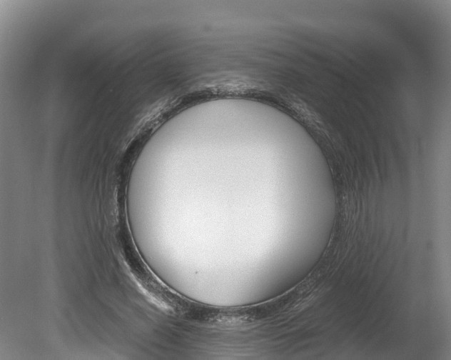 X0000078880638200611131055