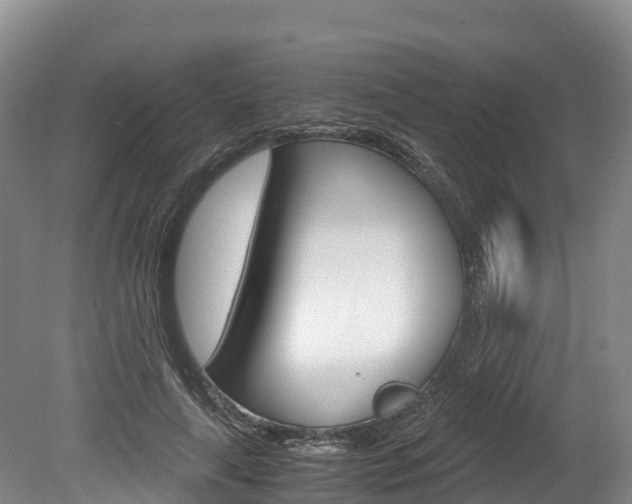 X0000078880643200611131055