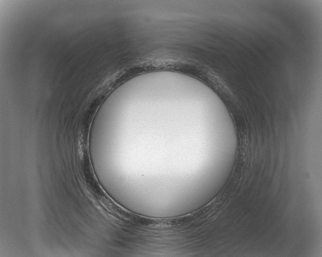 X0000078880644200611131055