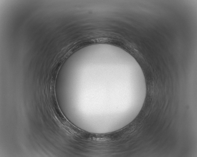 X0000078880645200611131055