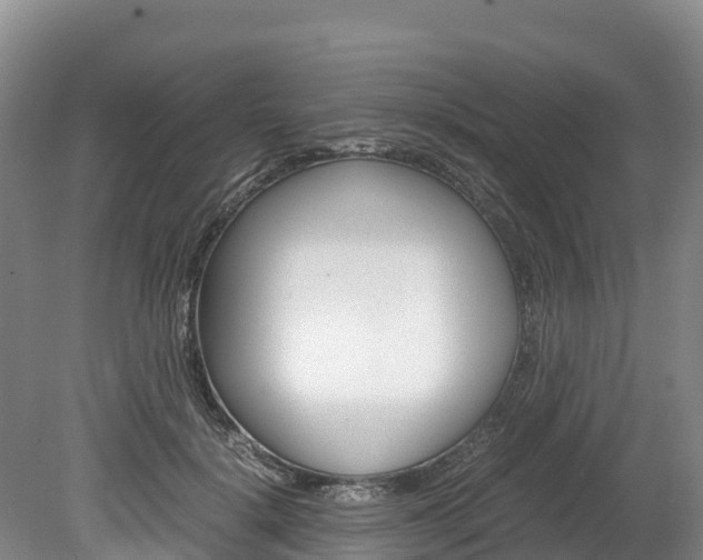 X0000078880652200611131055