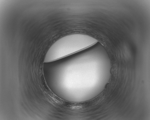 X0000078880653200611131055