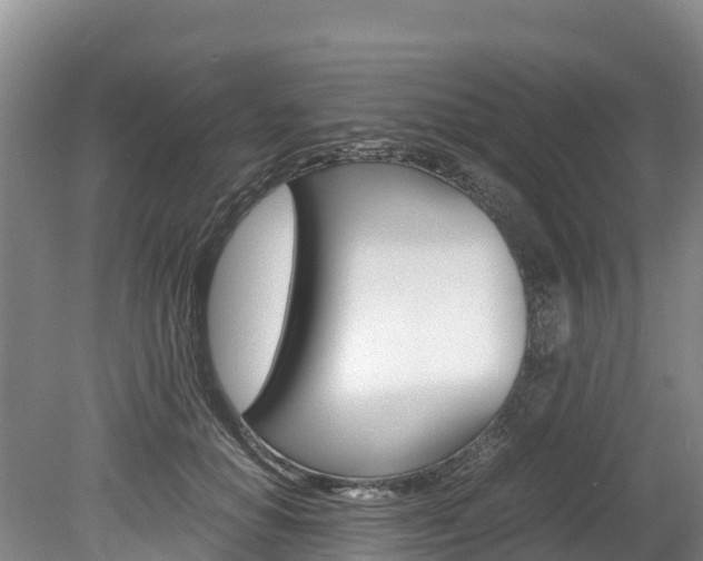 X0000078880654200611131055