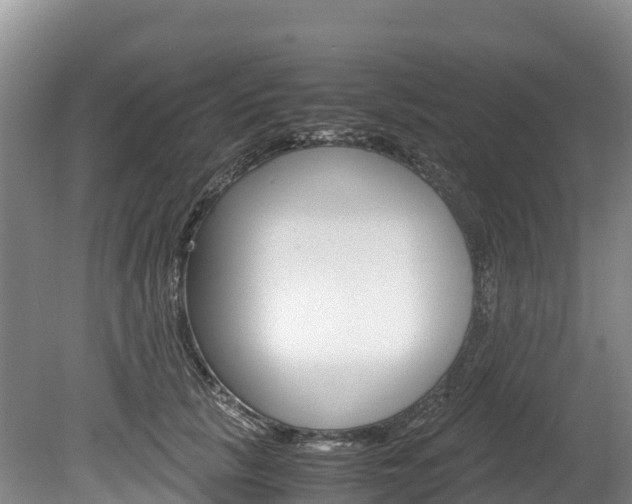X0000078880657200611131055