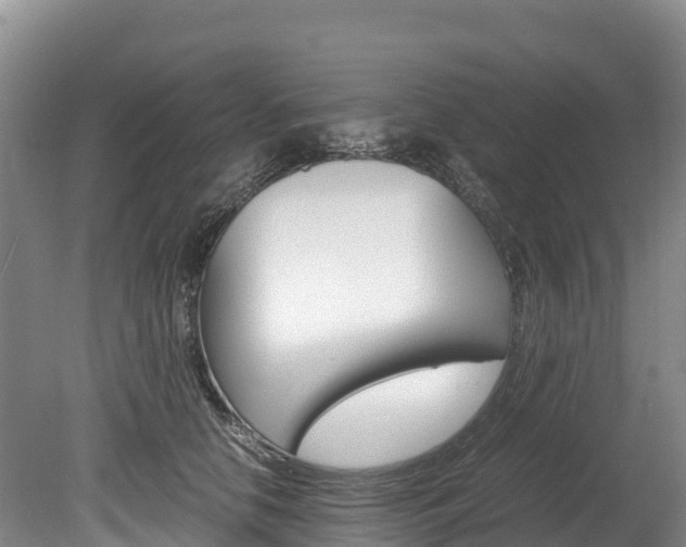 X0000078880658200611131055