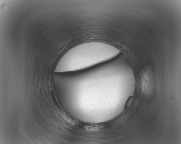 X0000078880661200611131055