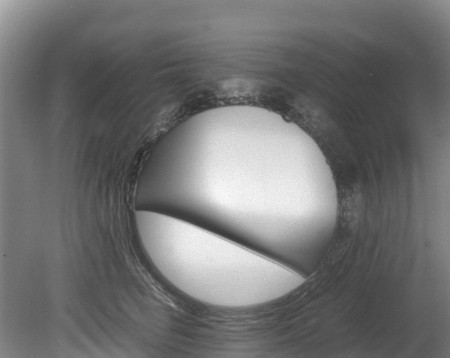 X0000078880662200611131055