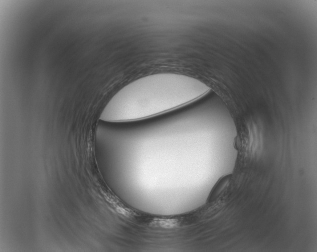 X0000078880665200611131055