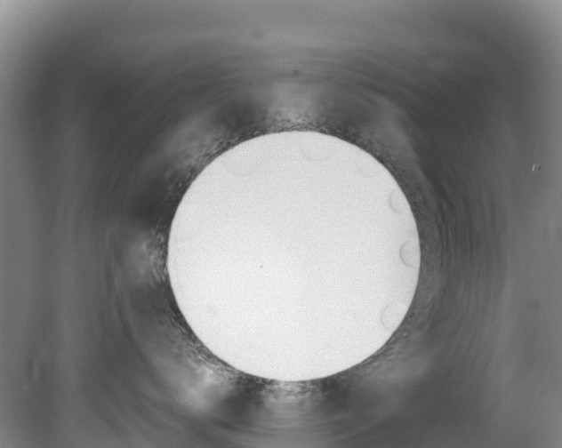 X0000078880672200611131055