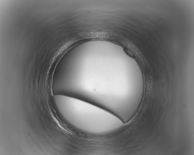 X0000078880674200611131054