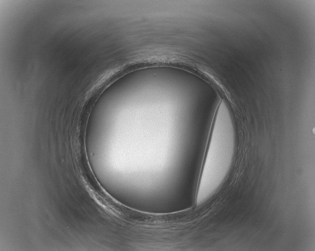 X0000078880677200611131054