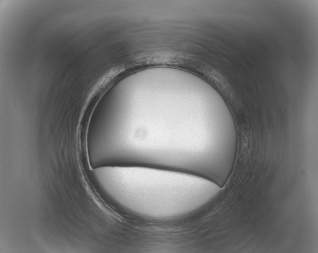 X0000078880678200611131054