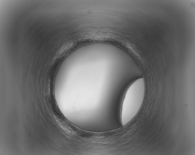 X0000078880685200611131054