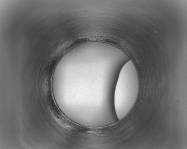 X0000078880690200611131054