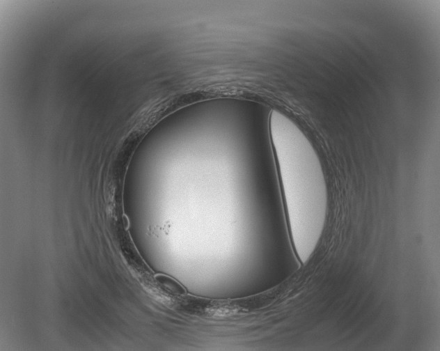 X0000078880693200611131054