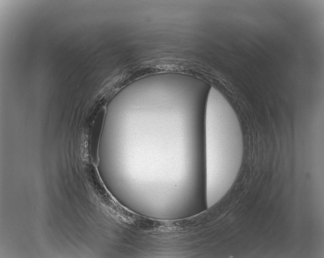 X0000078880696200611131054