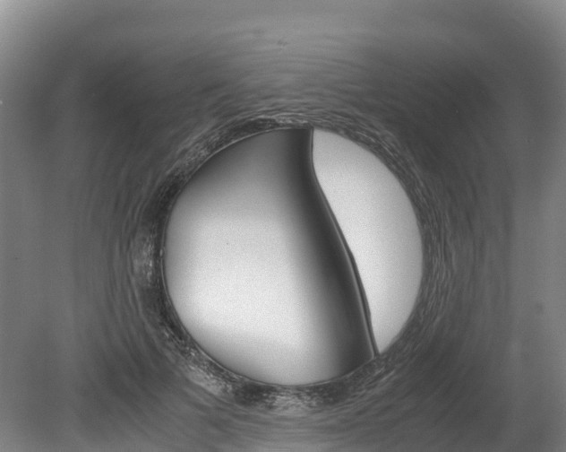 X0000078880697200611131054