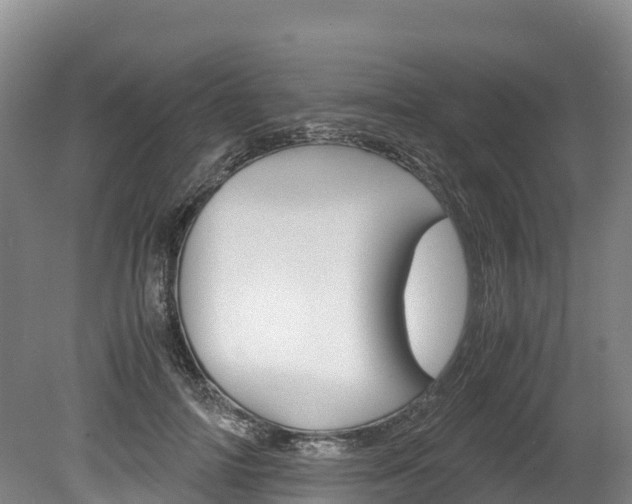 X0000078880698200611131054