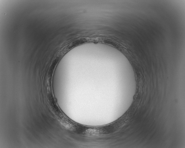 X0000078880699200611131054
