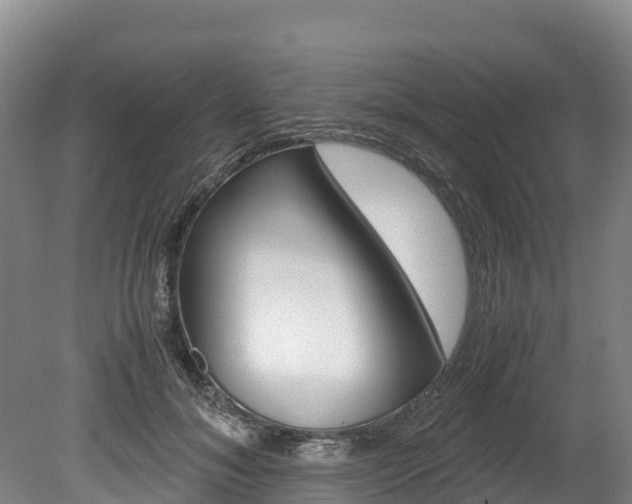 X0000078880700200611131054