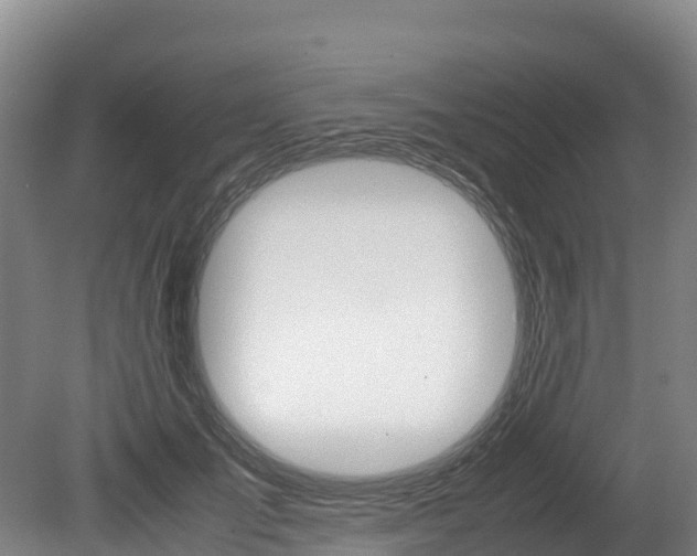 X0000078880701200611131054