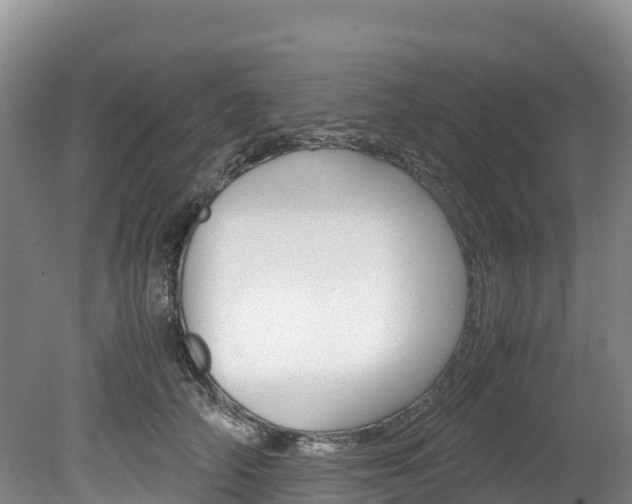 X0000078880706200611131054