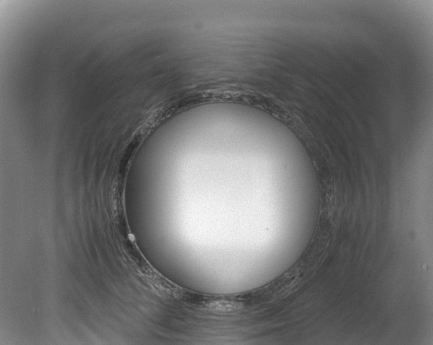 X0000078880708200611131054