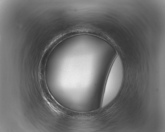 X0000078880722200611131053