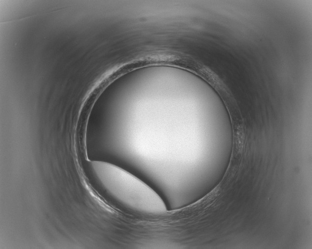 X0000078880726200611131053