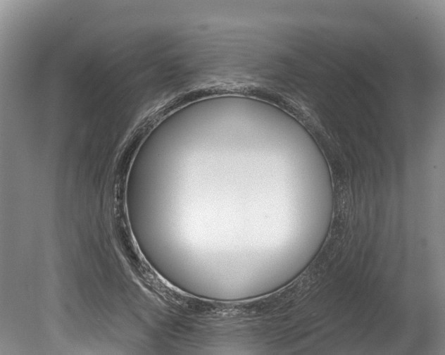 X0000078880736200611131053