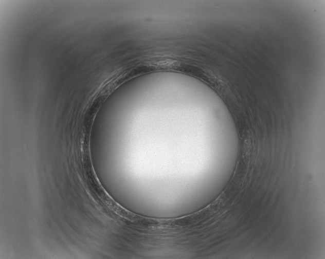 X0000078880739200611131053