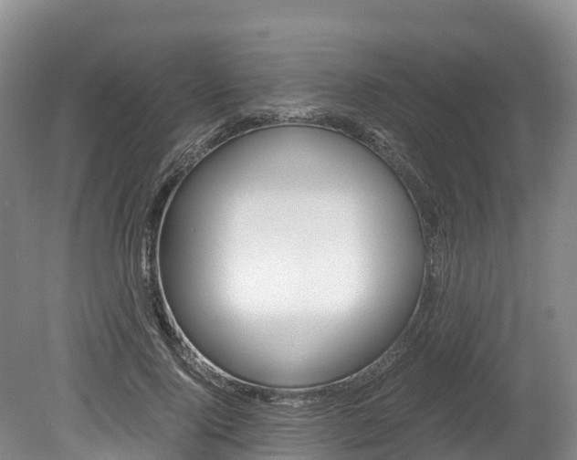 X0000078880740200611131053