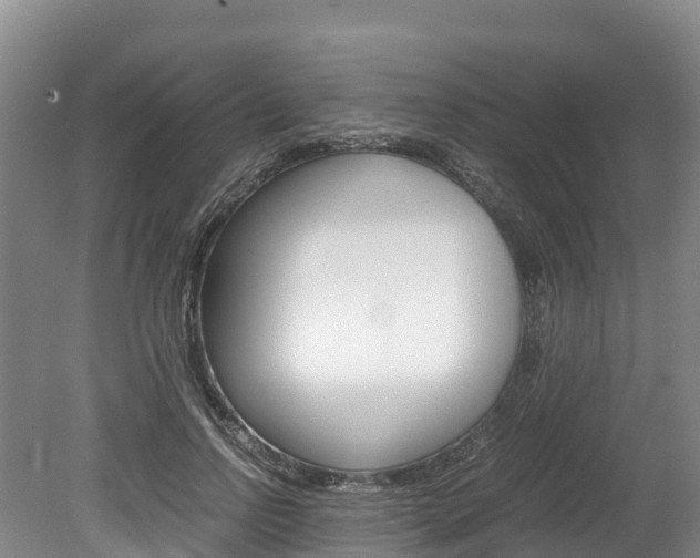 X0000078880742200611131053