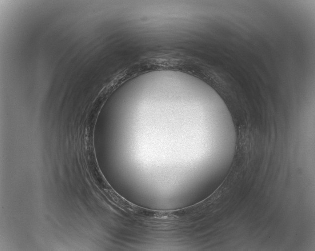 X0000078880752200611131053