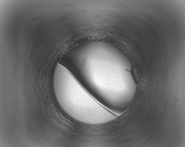 X0000078880756200611131053