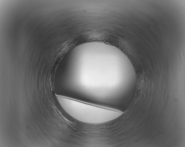 X0000078880764200611131054