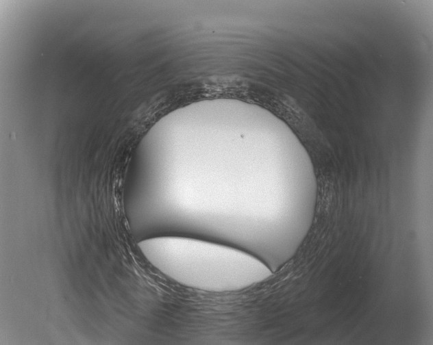 X0000078880770200611131053