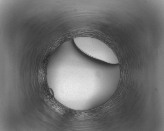 X0000078880772200611131053