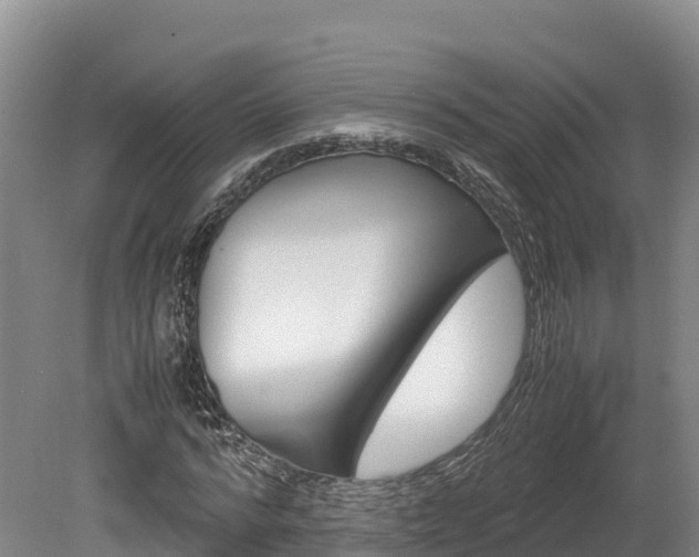 X0000078880776200611131053