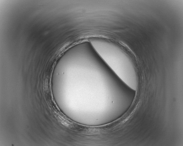 X0000078880777200611131053