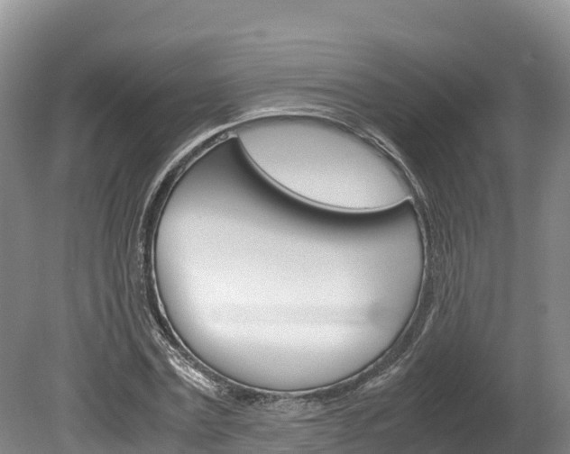 X0000078880779200611131053