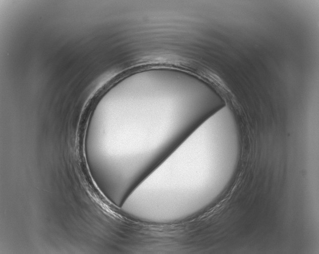 X0000078880780200611131053