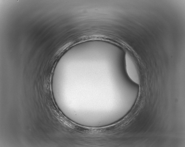 X0000078880785200611131053
