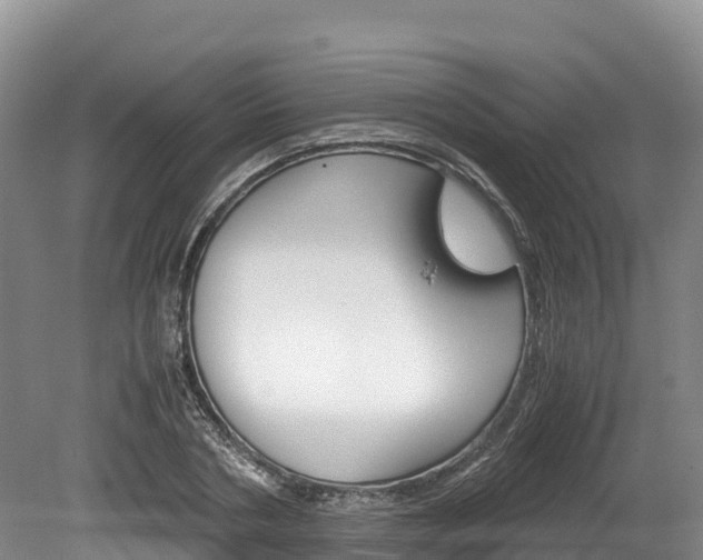X0000078880786200611131053