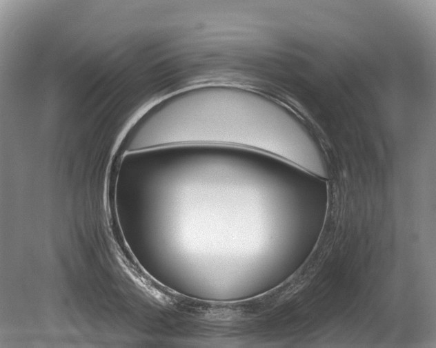 X0000078880788200611131052